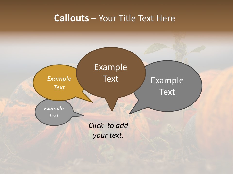 Austria Pumpkin Field PowerPoint Template