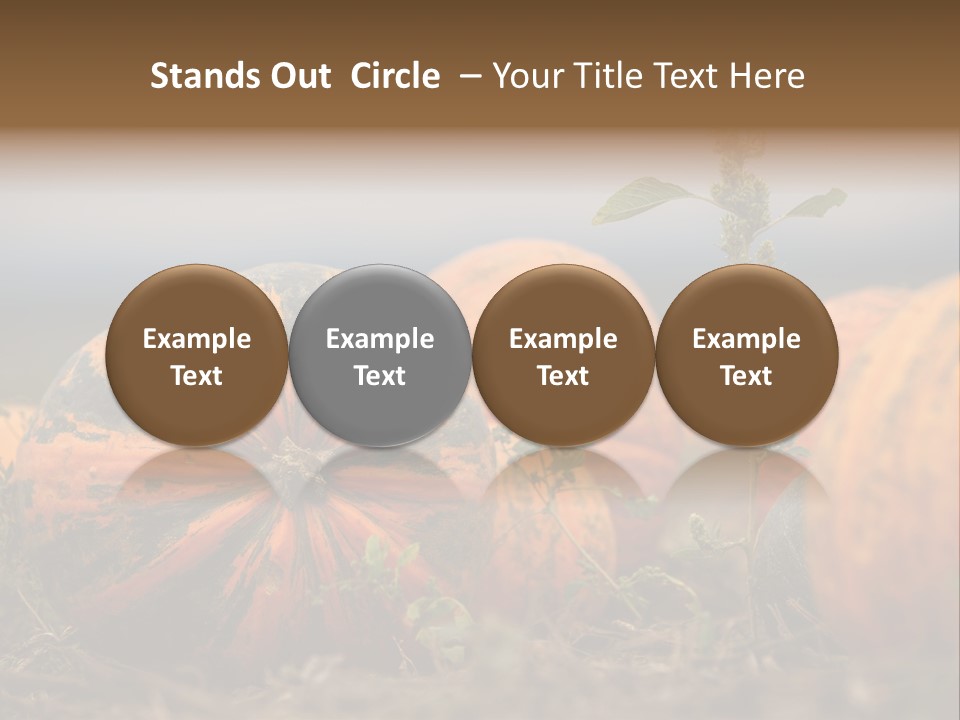 Austria Pumpkin Field PowerPoint Template