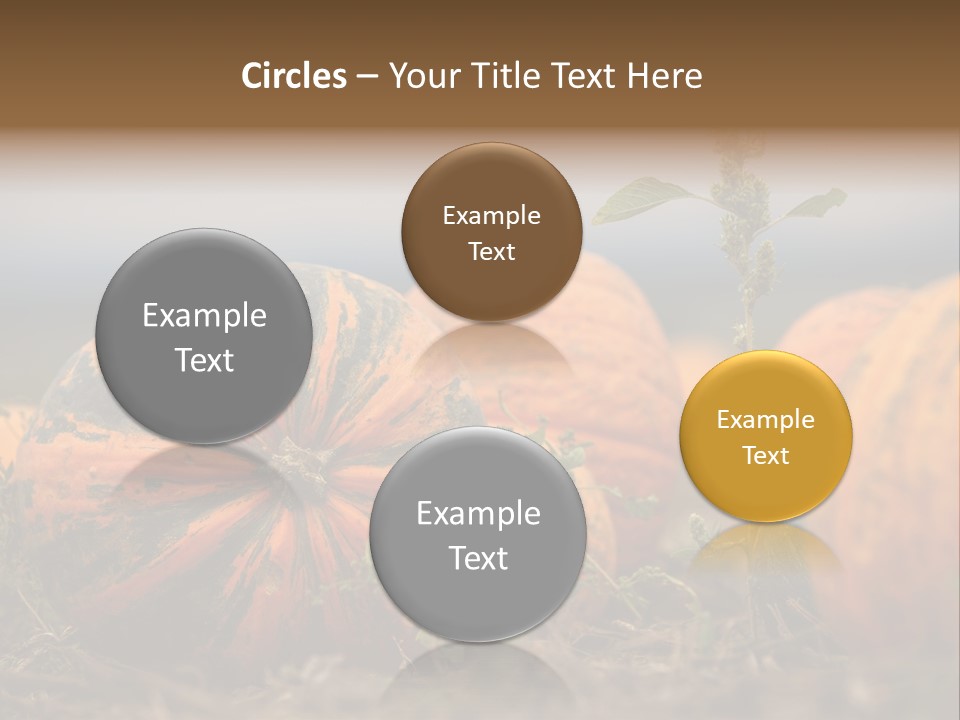 Austria Pumpkin Field PowerPoint Template
