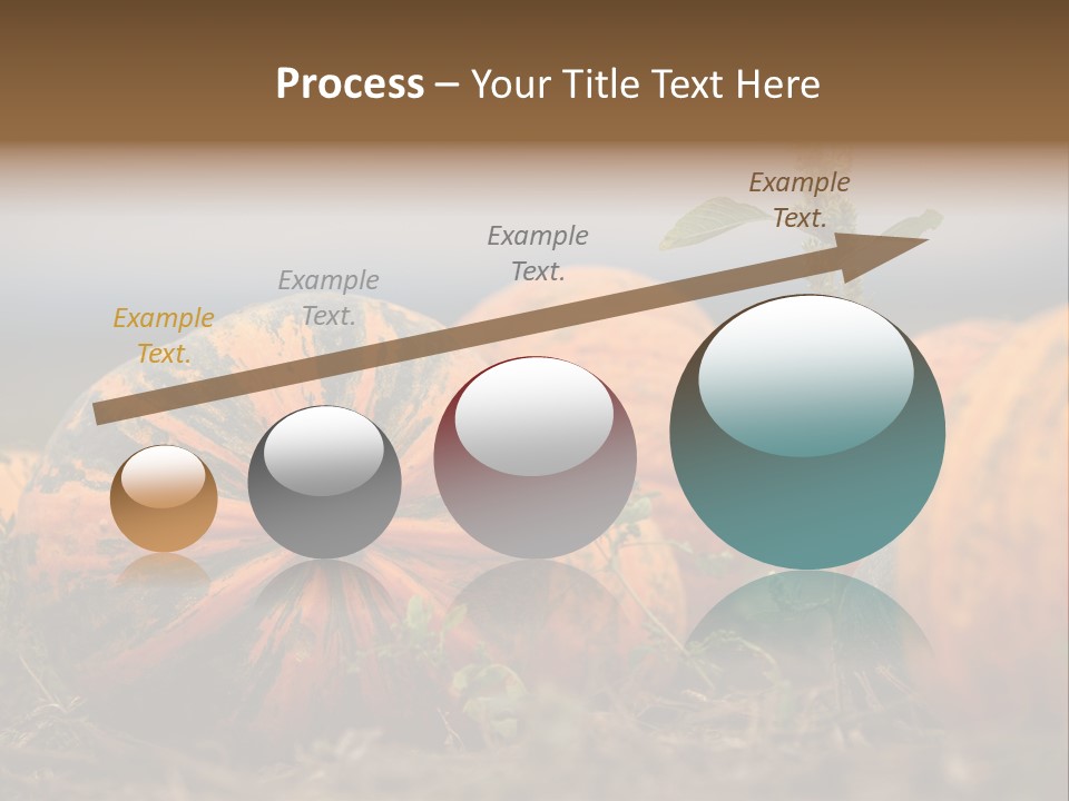 Austria Pumpkin Field PowerPoint Template