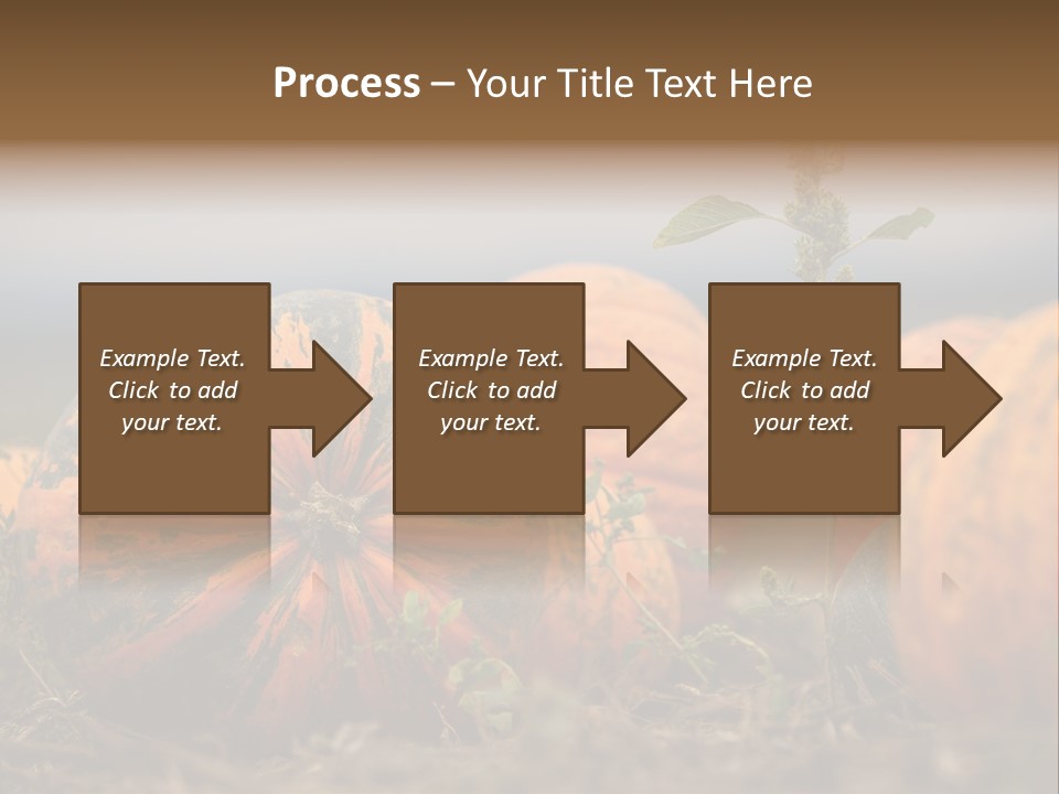Austria Pumpkin Field PowerPoint Template