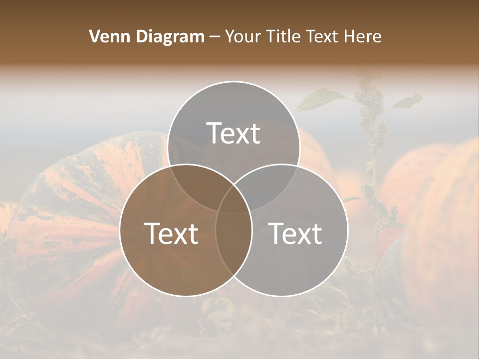 Austria Pumpkin Field PowerPoint Template