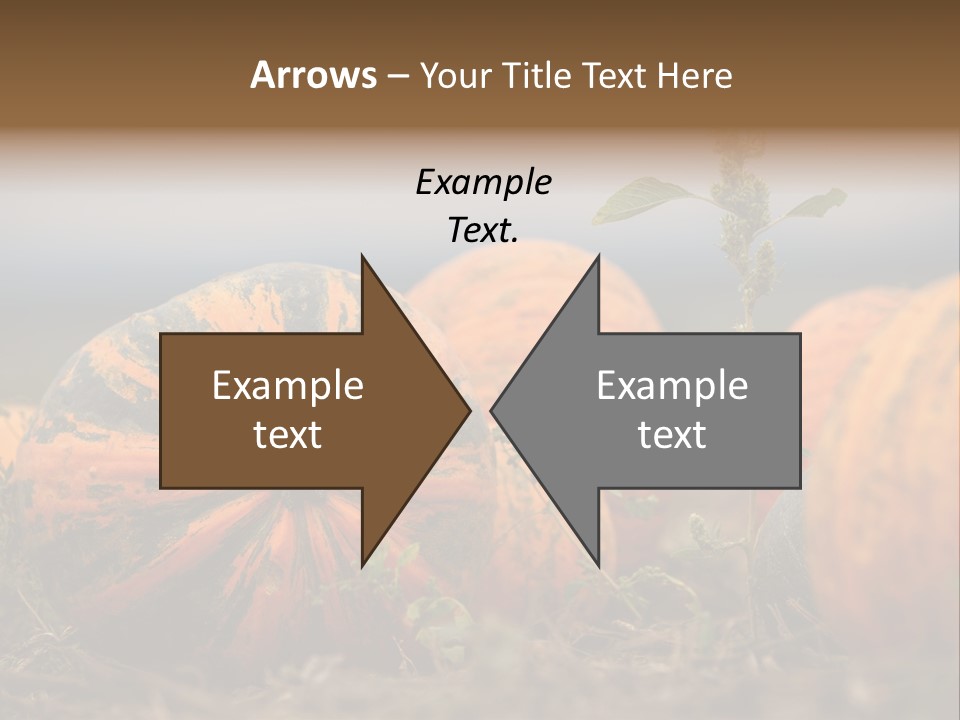 Austria Pumpkin Field PowerPoint Template