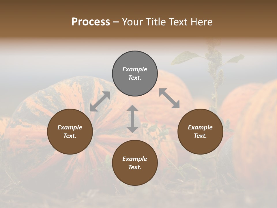 Austria Pumpkin Field PowerPoint Template