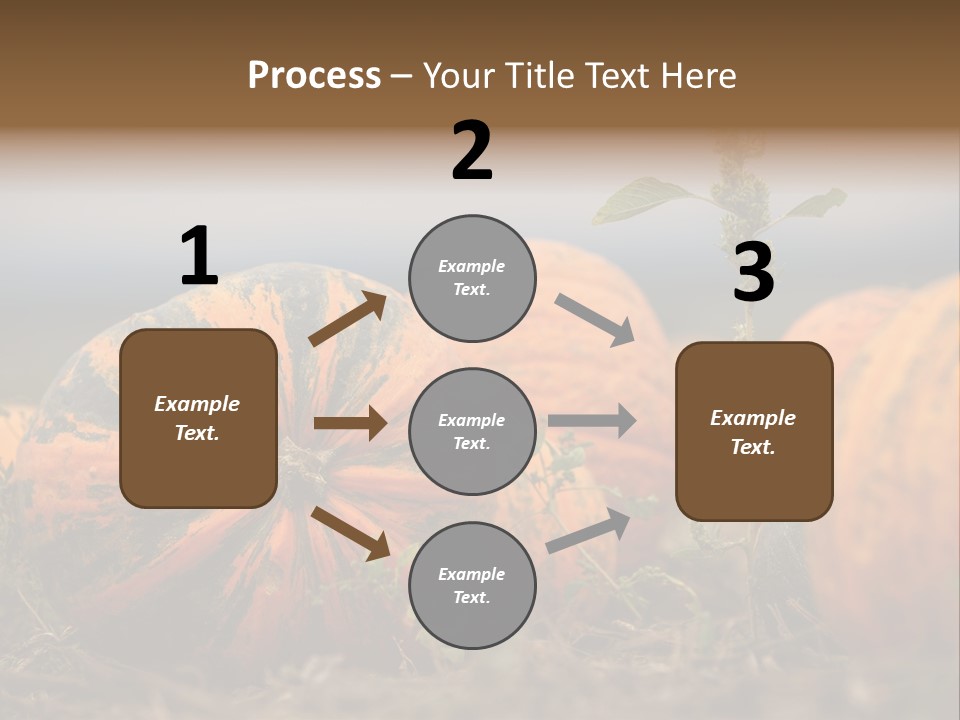 Austria Pumpkin Field PowerPoint Template