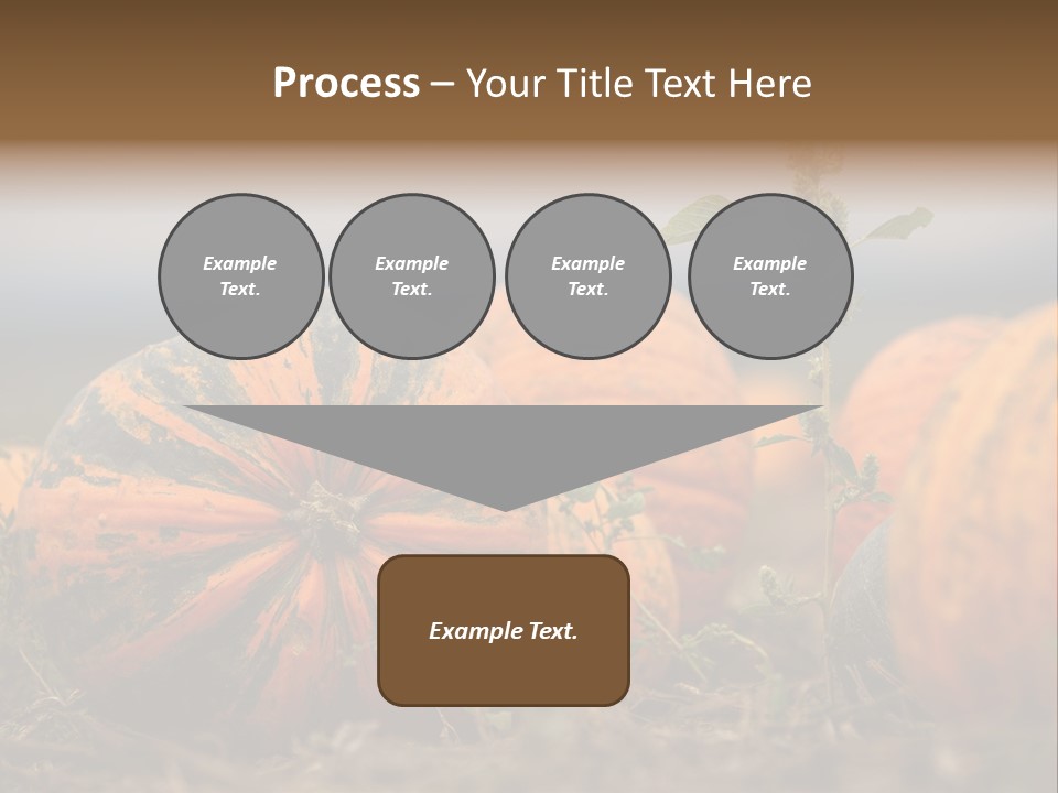 Austria Pumpkin Field PowerPoint Template