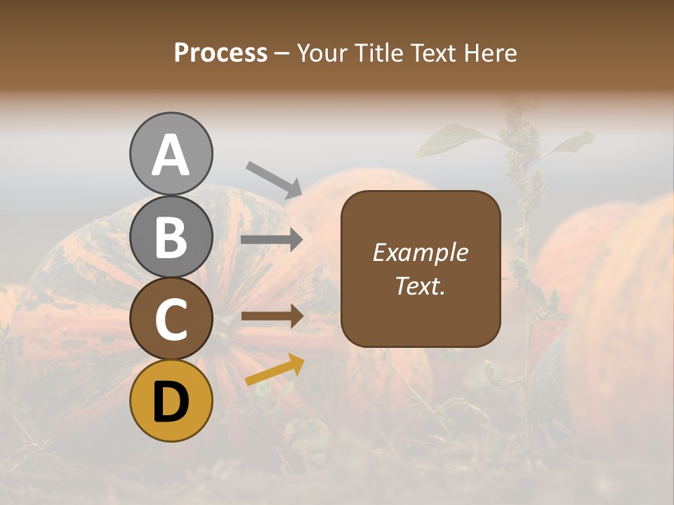 Austria Pumpkin Field PowerPoint Template