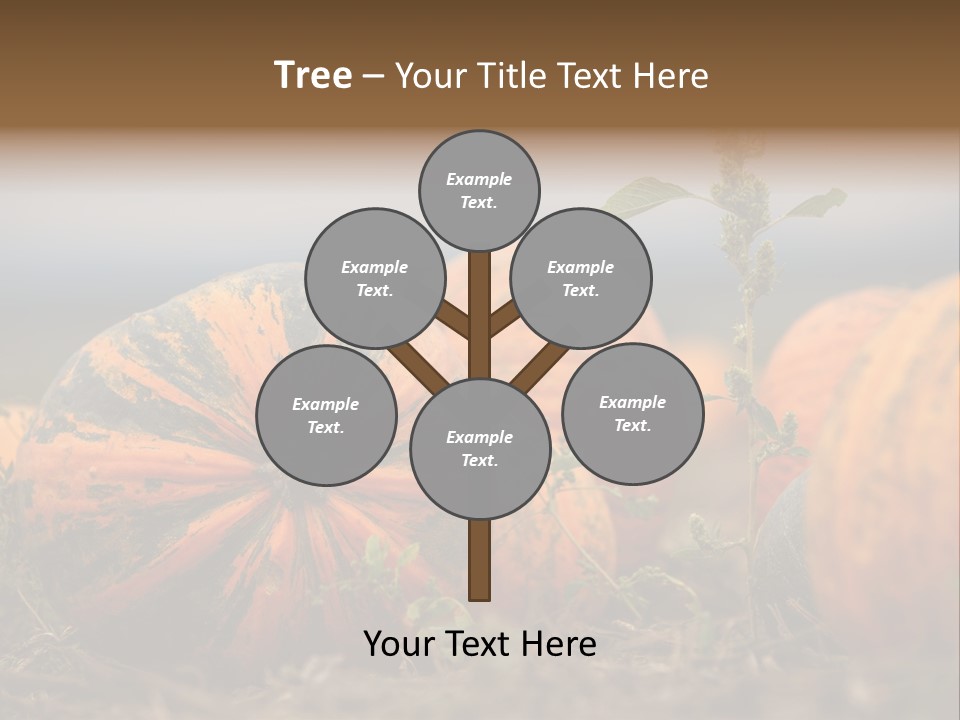 Austria Pumpkin Field PowerPoint Template