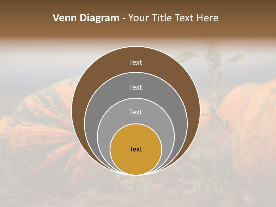 Austria Pumpkin Field PowerPoint Template