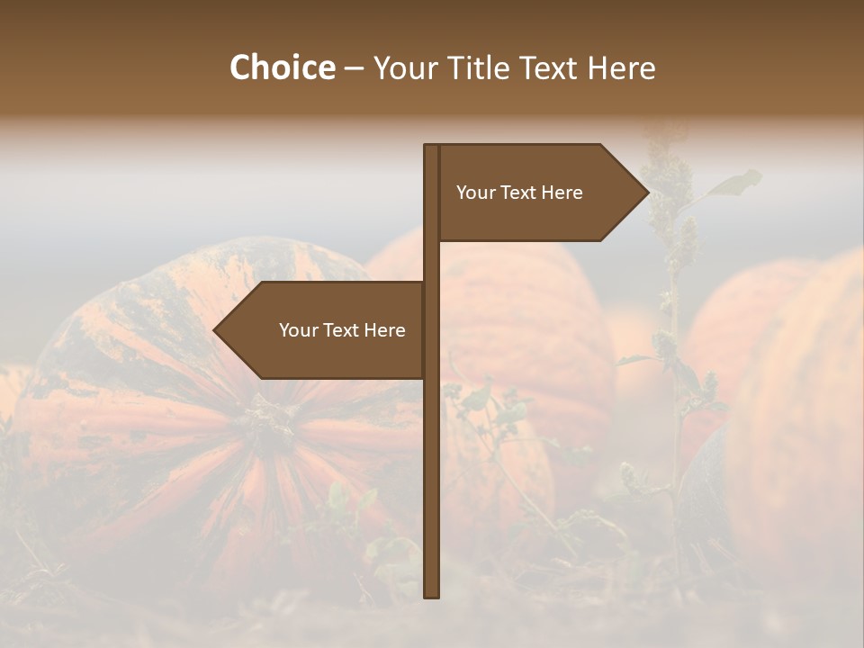 Austria Pumpkin Field PowerPoint Template