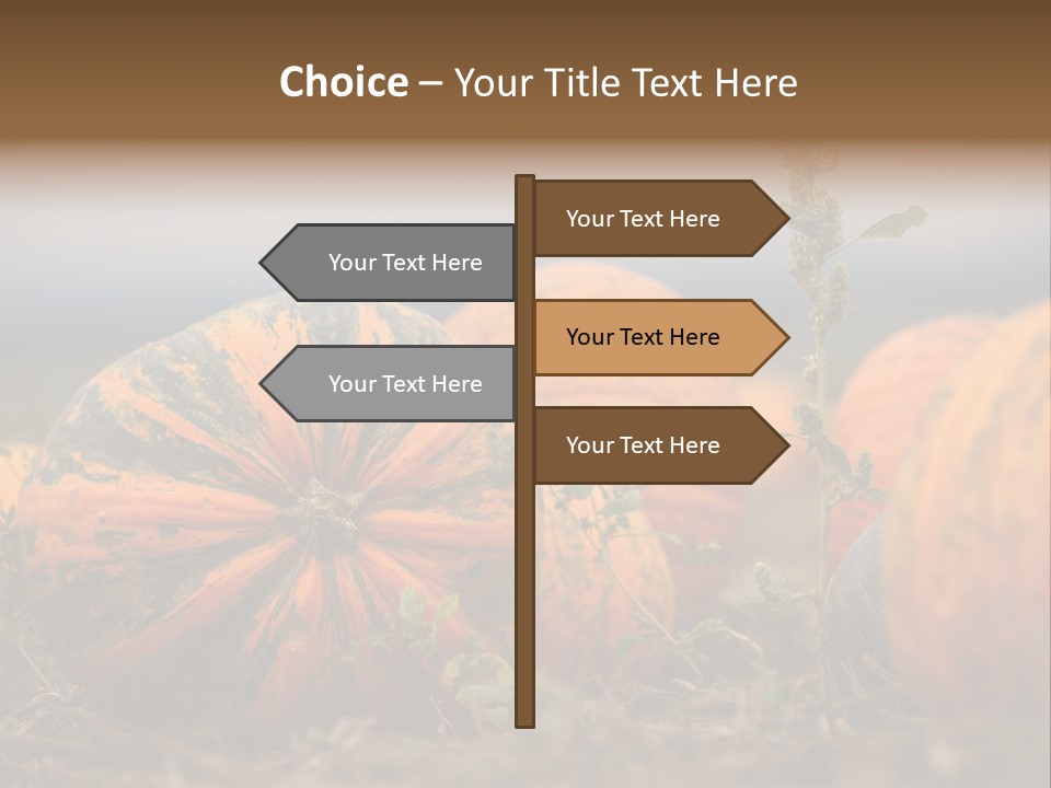 Austria Pumpkin Field PowerPoint Template