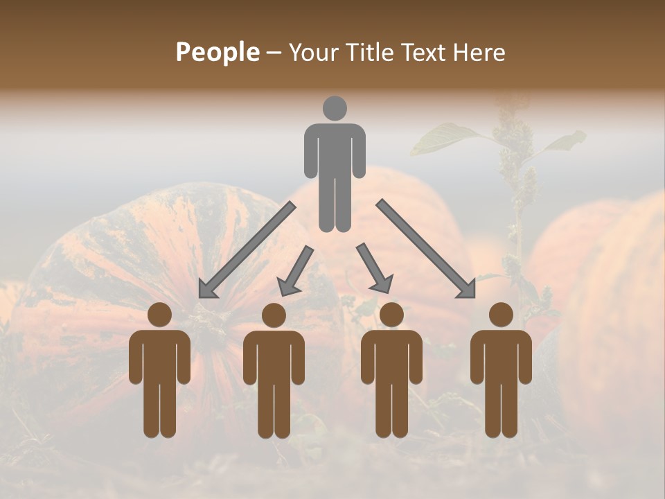 Austria Pumpkin Field PowerPoint Template