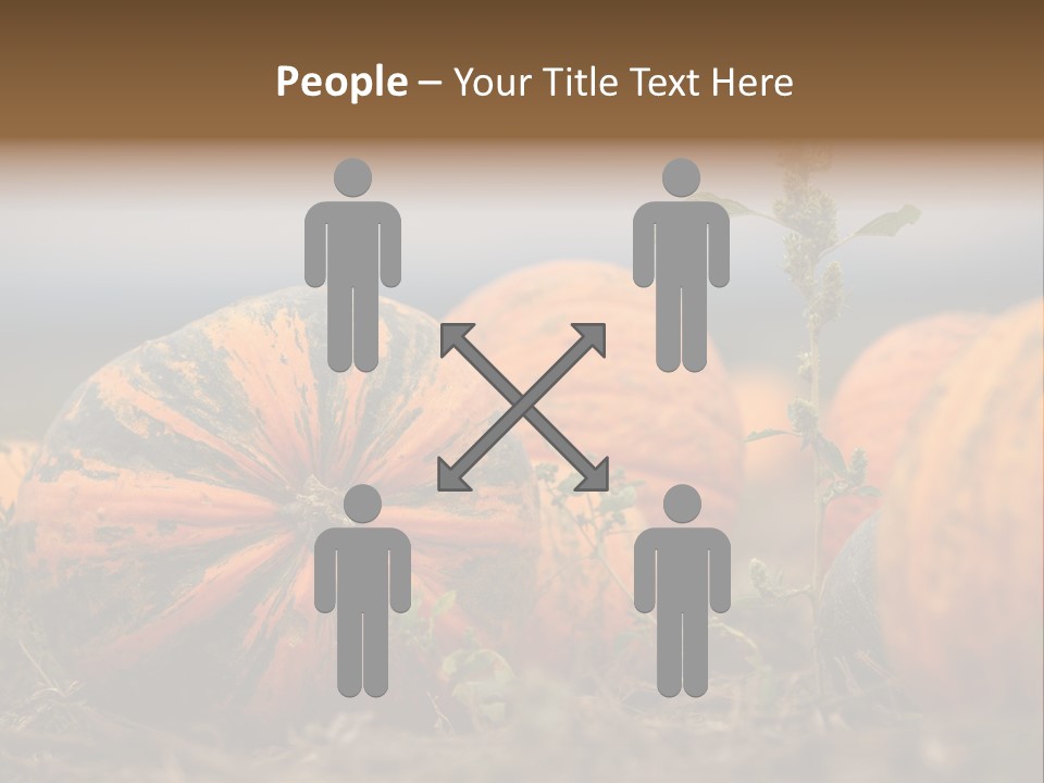 Austria Pumpkin Field PowerPoint Template