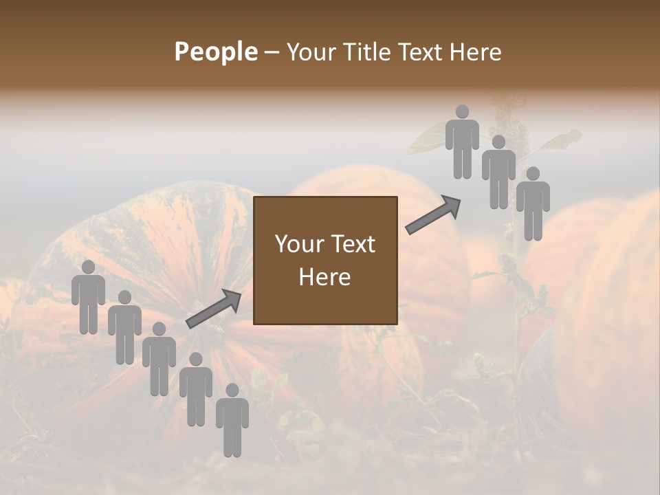 Austria Pumpkin Field PowerPoint Template