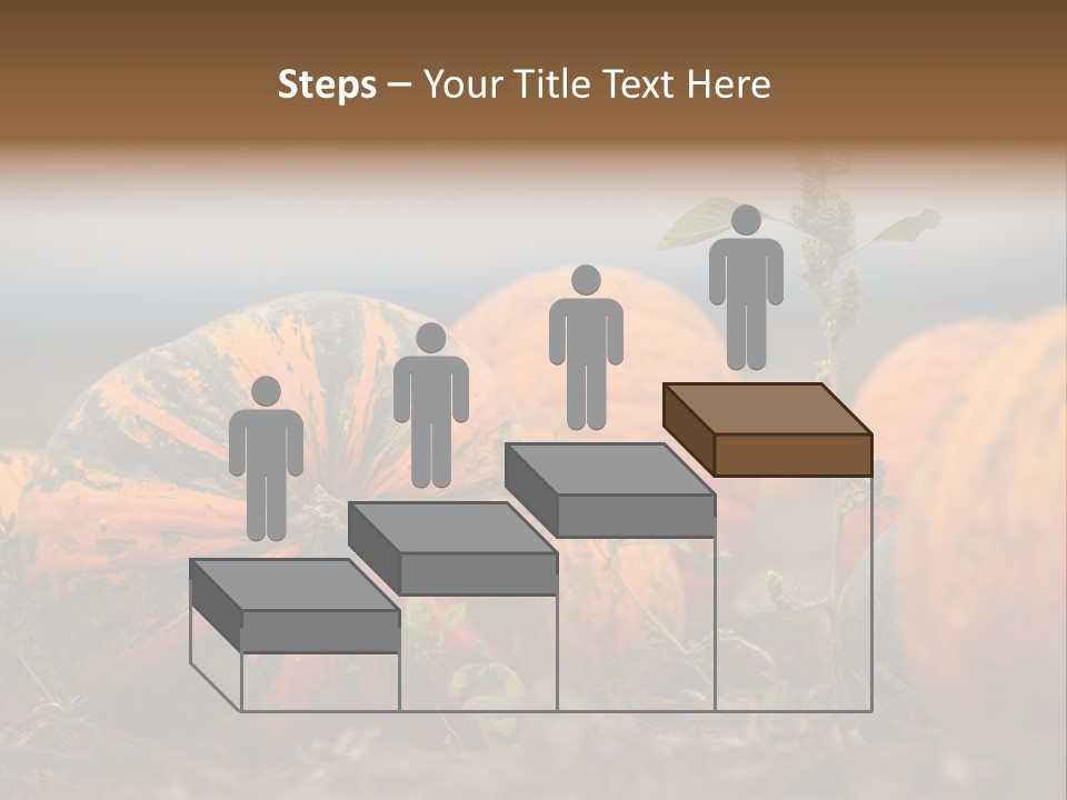 Austria Pumpkin Field PowerPoint Template