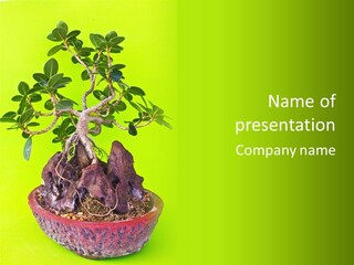 Tree Gardening Culture PowerPoint Template