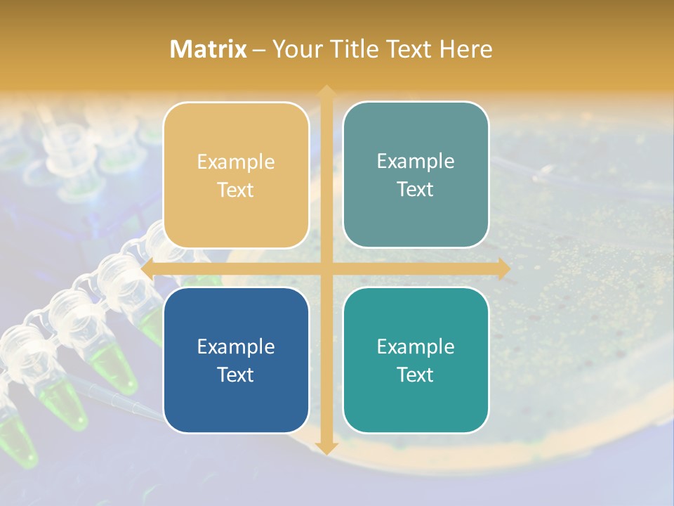 Holding Biochemistry Biotechnology PowerPoint Template