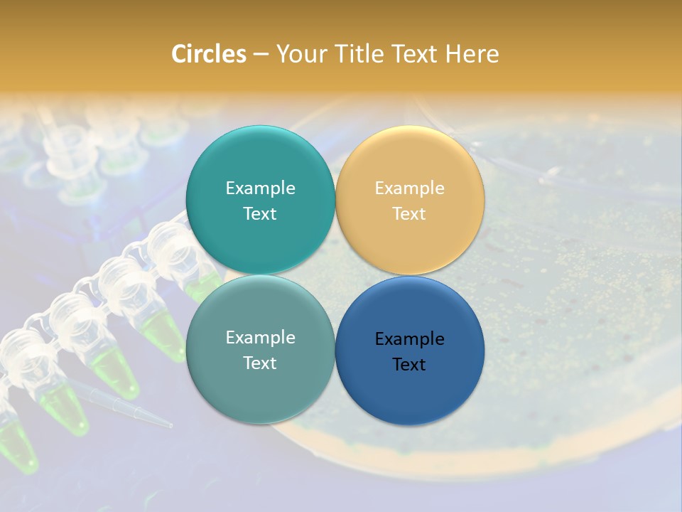 Holding Biochemistry Biotechnology PowerPoint Template