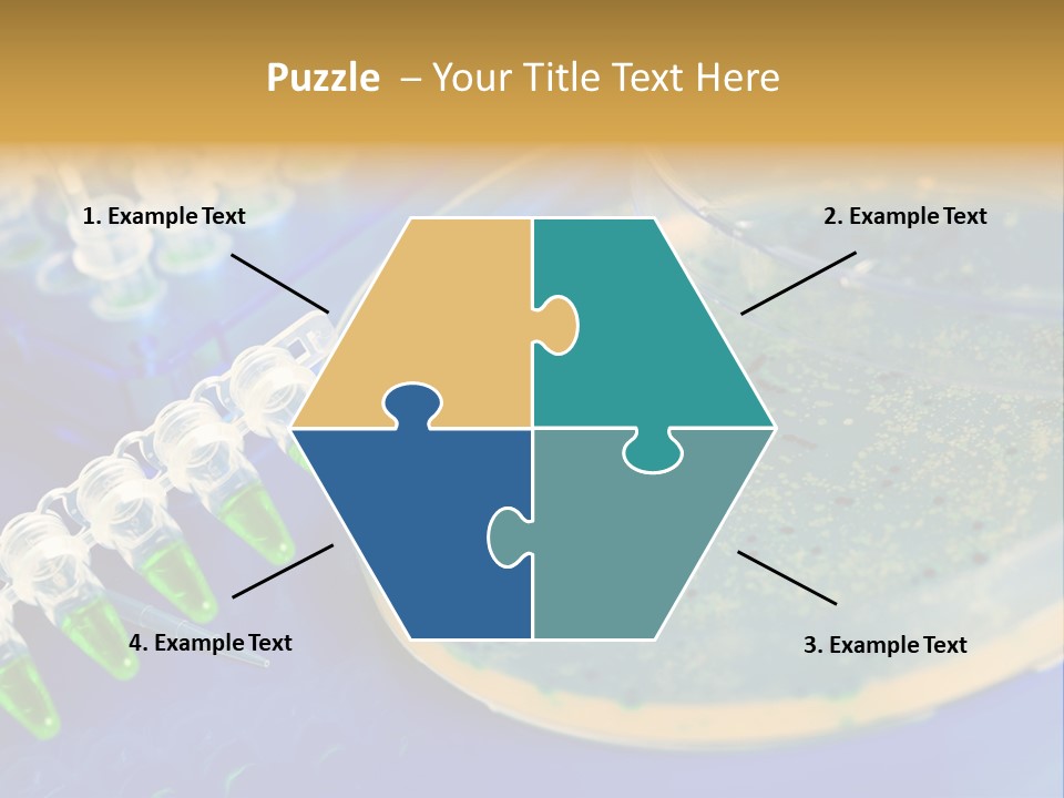 Holding Biochemistry Biotechnology PowerPoint Template
