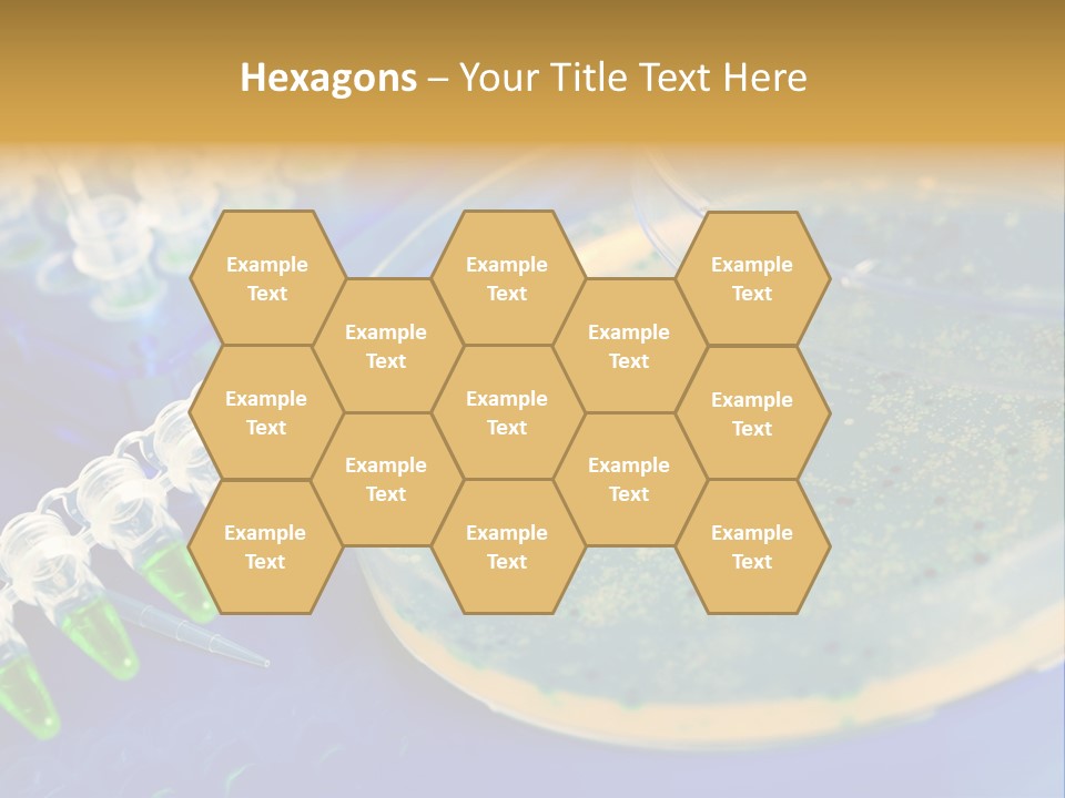 Holding Biochemistry Biotechnology PowerPoint Template