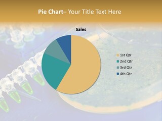 Holding Biochemistry Biotechnology PowerPoint Template