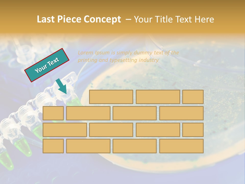 Holding Biochemistry Biotechnology PowerPoint Template