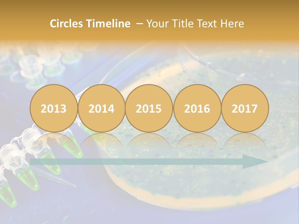 Holding Biochemistry Biotechnology PowerPoint Template