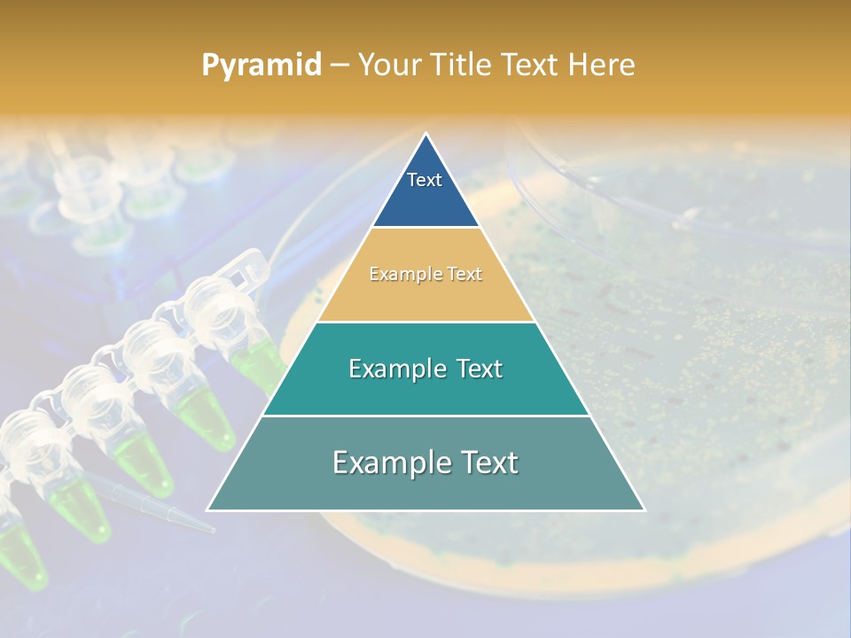 Holding Biochemistry Biotechnology PowerPoint Template