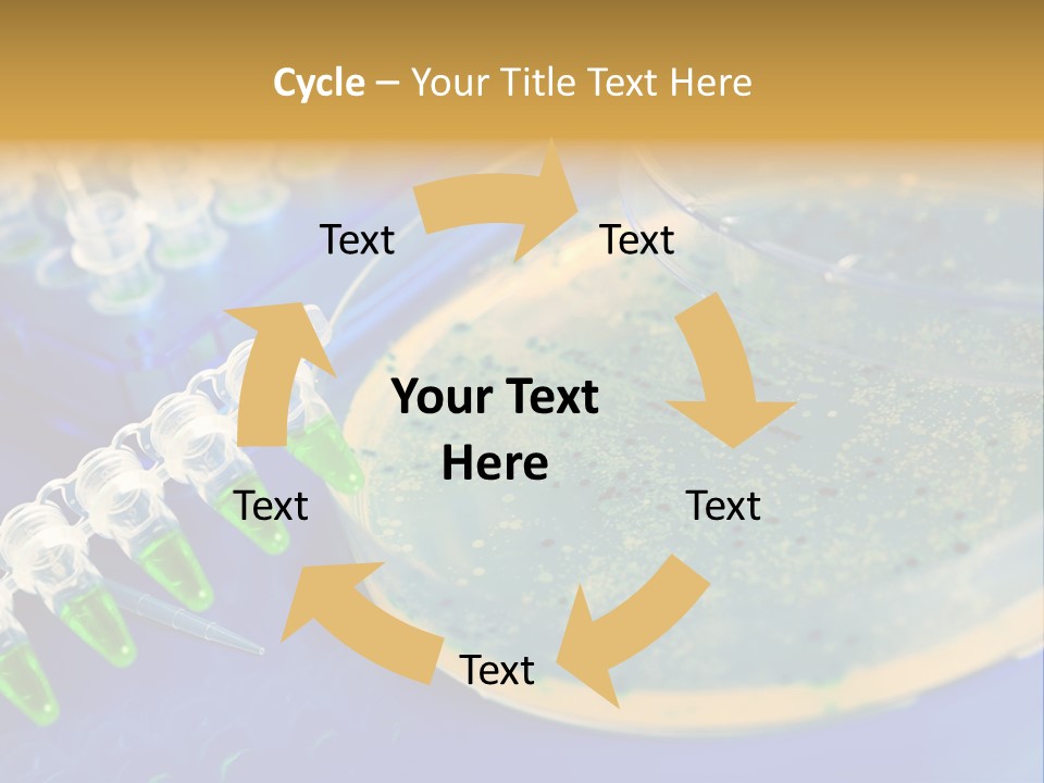 Holding Biochemistry Biotechnology PowerPoint Template