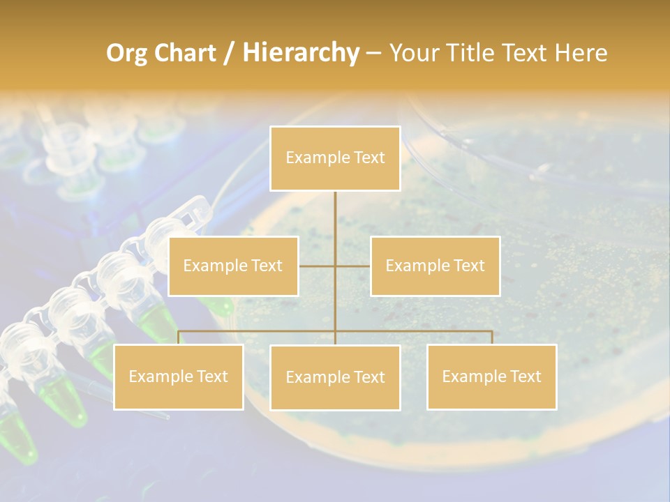 Holding Biochemistry Biotechnology PowerPoint Template