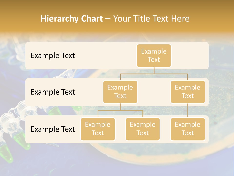 Holding Biochemistry Biotechnology PowerPoint Template