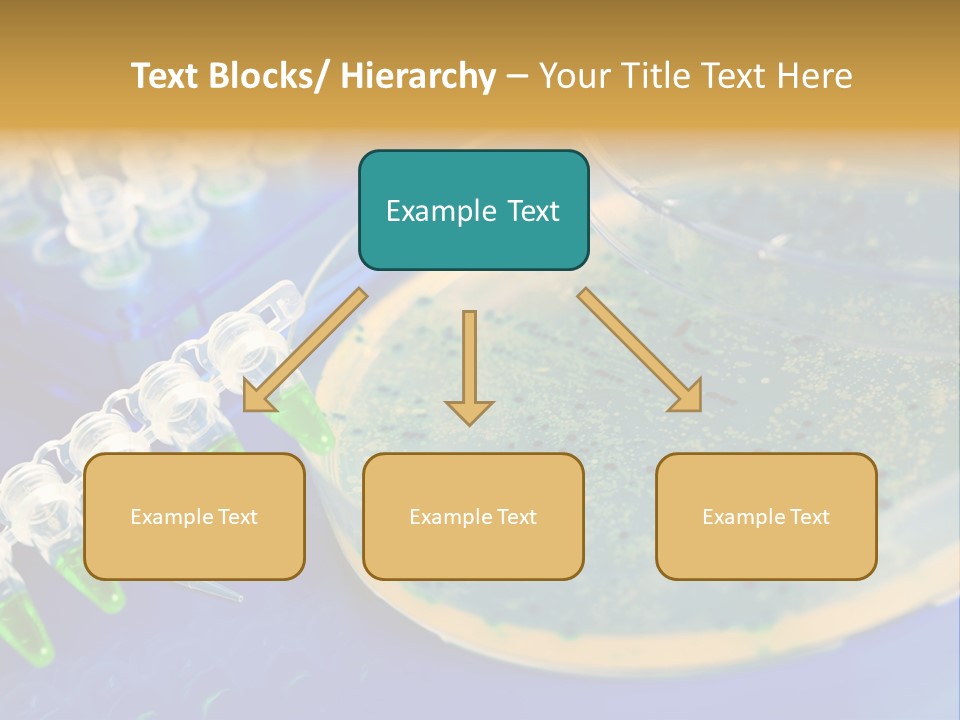 Holding Biochemistry Biotechnology PowerPoint Template