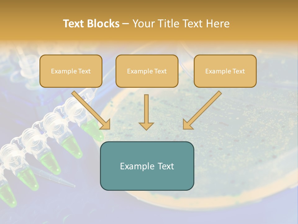 Holding Biochemistry Biotechnology PowerPoint Template
