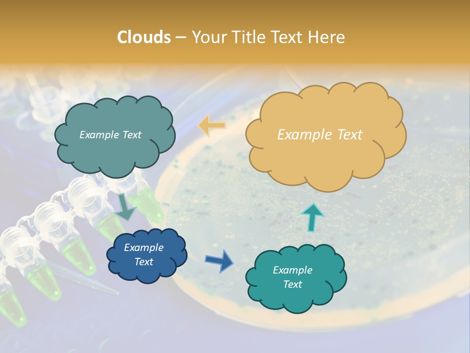 Holding Biochemistry Biotechnology PowerPoint Template