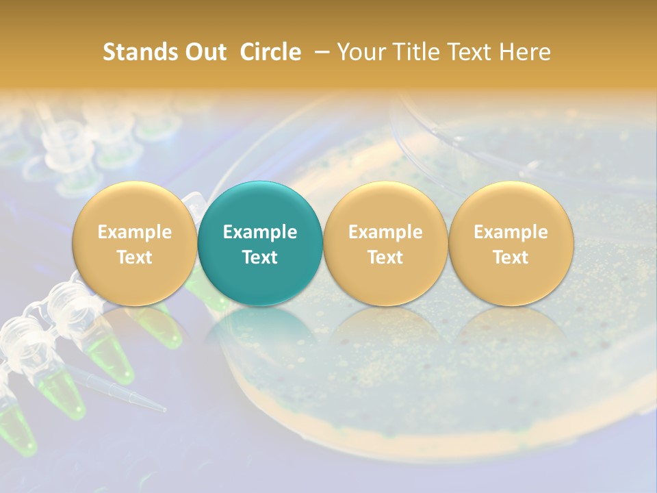 Holding Biochemistry Biotechnology PowerPoint Template