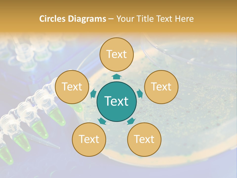 Holding Biochemistry Biotechnology PowerPoint Template