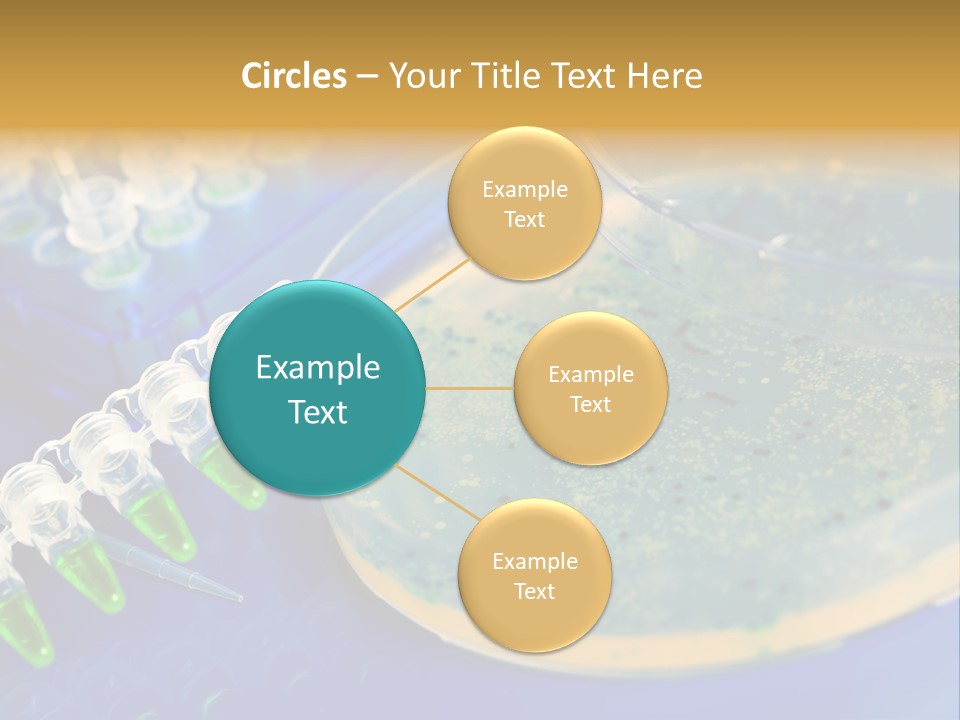 Holding Biochemistry Biotechnology PowerPoint Template