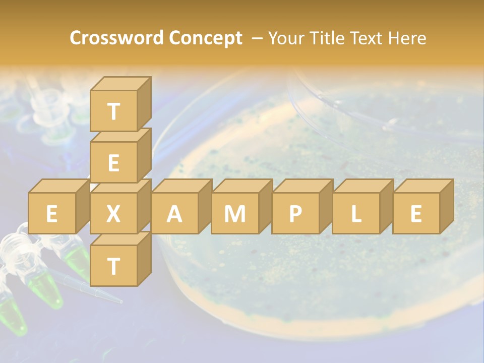 Holding Biochemistry Biotechnology PowerPoint Template