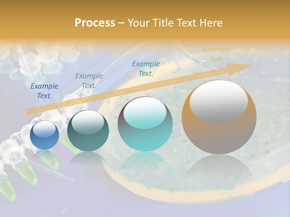 Holding Biochemistry Biotechnology PowerPoint Template