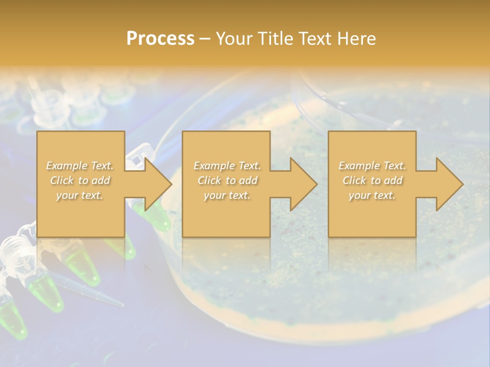Holding Biochemistry Biotechnology PowerPoint Template