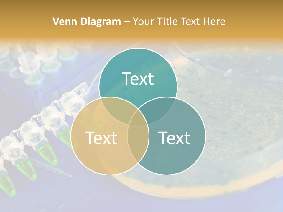 Holding Biochemistry Biotechnology PowerPoint Template