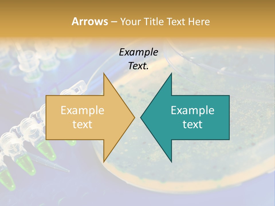 Holding Biochemistry Biotechnology PowerPoint Template