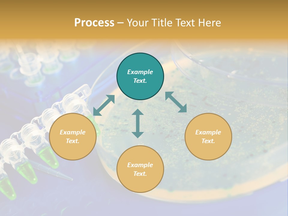 Holding Biochemistry Biotechnology PowerPoint Template