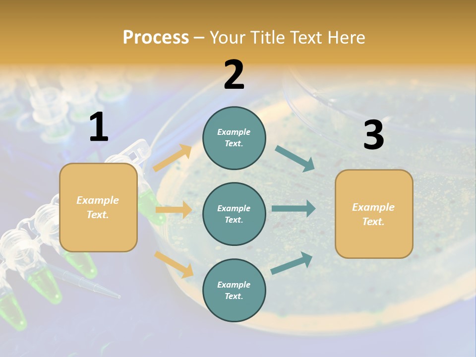 Holding Biochemistry Biotechnology PowerPoint Template
