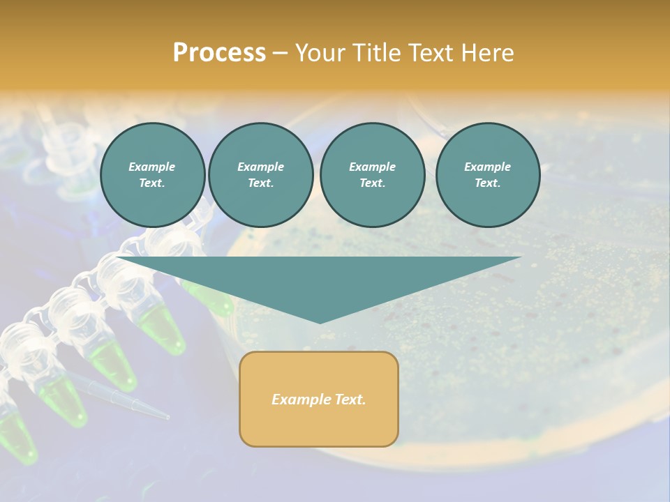 Holding Biochemistry Biotechnology PowerPoint Template