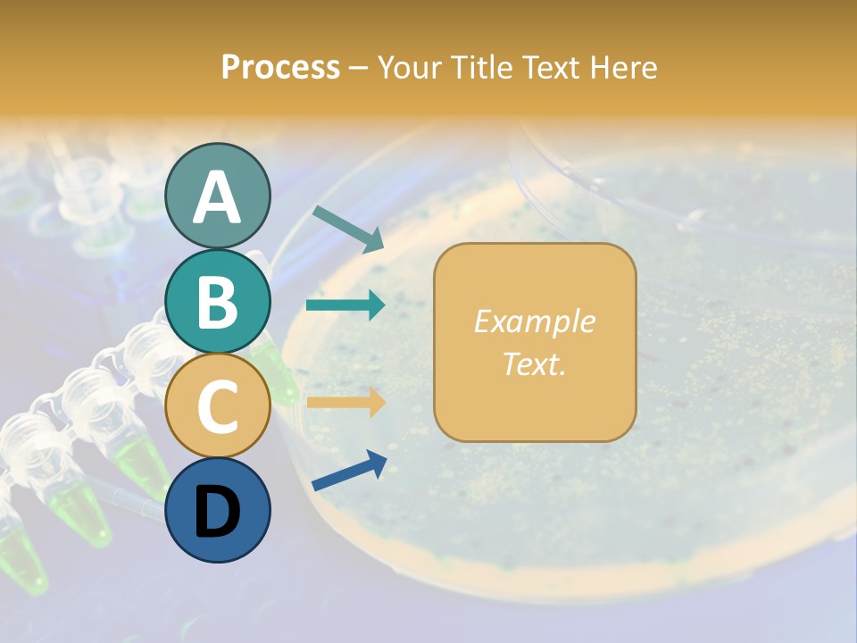 Holding Biochemistry Biotechnology PowerPoint Template