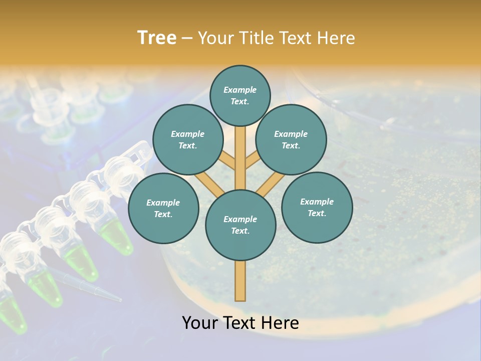 Holding Biochemistry Biotechnology PowerPoint Template