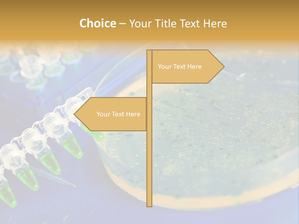 Holding Biochemistry Biotechnology PowerPoint Template