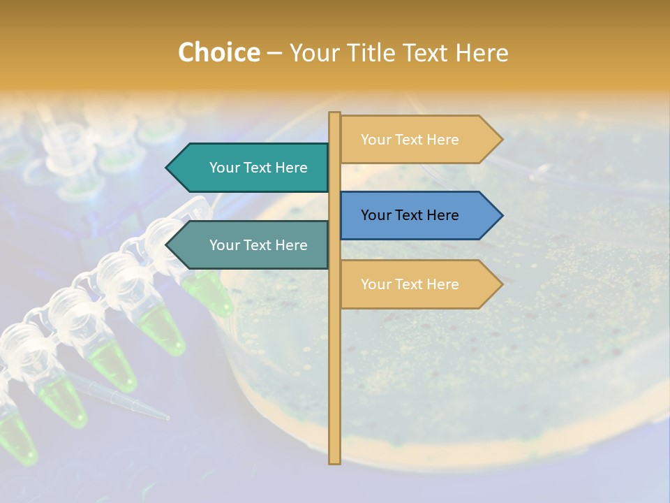 Holding Biochemistry Biotechnology PowerPoint Template