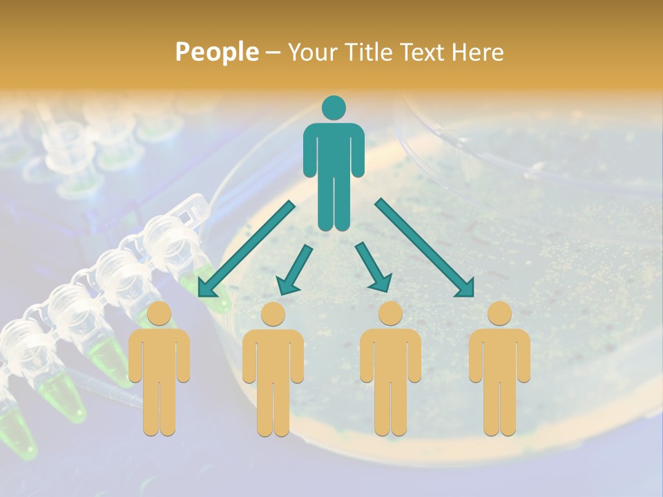 Holding Biochemistry Biotechnology PowerPoint Template